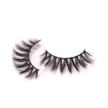 Load image into Gallery viewer, Sparkly Girl Glam Lashes Kit "D22" - Sparkly Girl